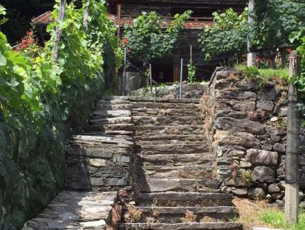 Roveredo Apartment | Casa immersa nel vigneto