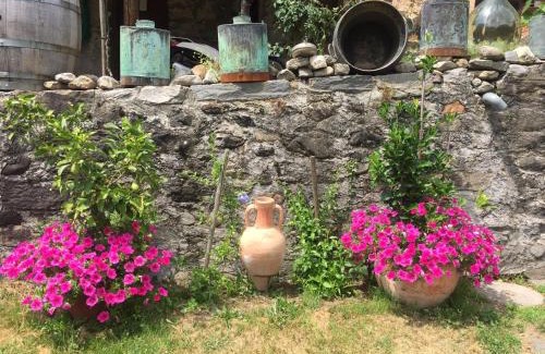 Roveredo Apartment | Casa immersa nel vigneto
