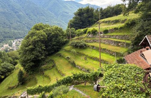 Roveredo Apartment | Casa immersa nel vigneto