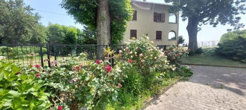 Andrate Apartment | Casa in montagna con giardino privato recintato
