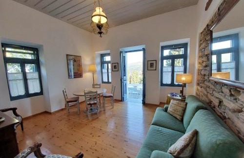Andros Town House | Casa Irene est 1880