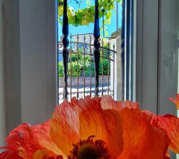 Koper Bed & Breakfast | Casa Isabella B&B