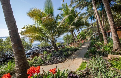 Palolem Resort | Casa Jaali