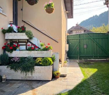 Rasnov House | Casa JOY