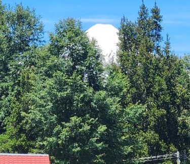 Pucon House | Casa junto a Ojos del Caburgua