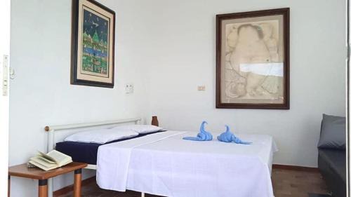 Pandi House | Casa La Felisa hospedaje campestre Pandi cundinamarca