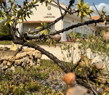 Lorca Bed & Breakfast | Casa Lamberdina