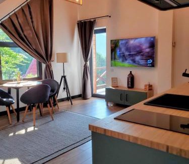 Sinaia Apartment | Casa Larisa Antonia Apartments