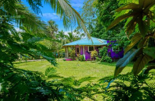 Manzanillo House | Casa Lavanda in tropical jungle garden