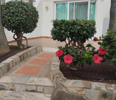 Bahia Calma Apartment | Casa Lidia Costa Calma beach