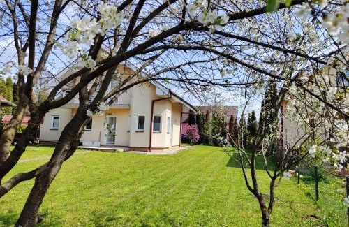 Livezeni House | Casa Livezeni