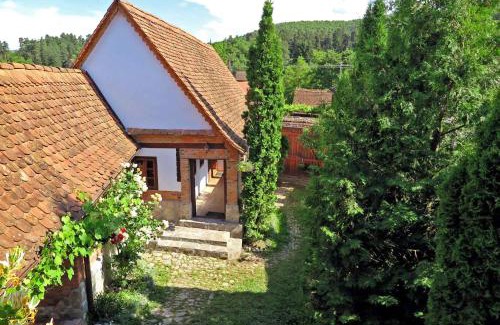 Saliste House | Casa Lopo