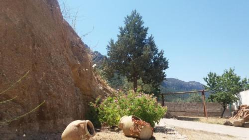 Dorgali House | Casa Lucia Campagna Relax