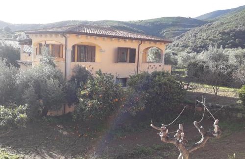 Schifoni Apartment | Casa Lucia