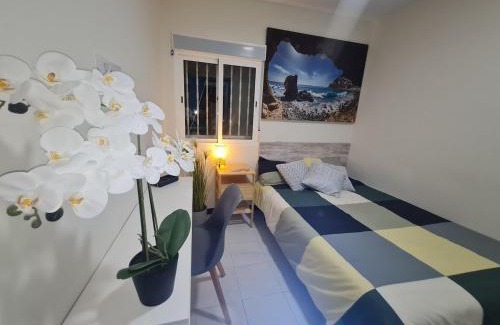 San Cristobal Apartment | Casa Mama Julia, Relájate!