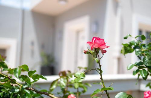 Mirties House | Casa Maestrale