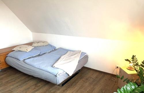 Landkirchen Apartment | Casa Marcu Wohnung 1 OG