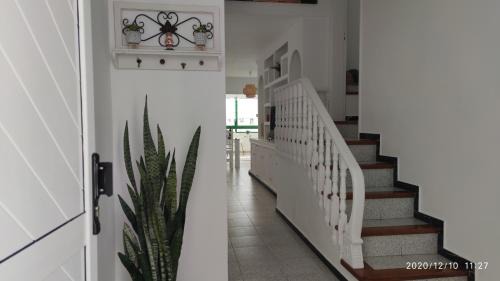 Playa Honda Apartment | Casa MARE