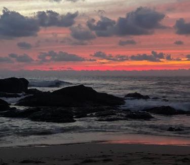 Tamarindo Apartment | Casa Mari Black Stallion