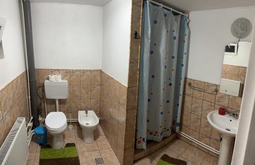 Viseu de Sus House | Casa Maria