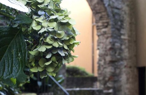 Nesso Apartment | Casa Marina - Appartamento nel residence di Nesso