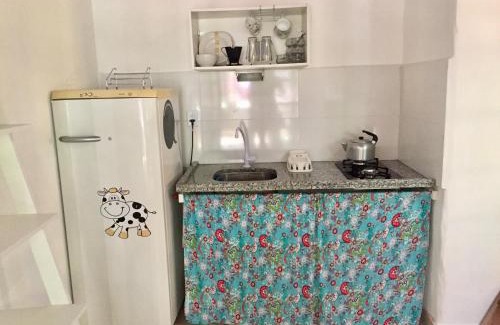 Ze Amandio Cabin | Casa Mico Leão Dourado