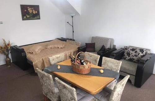 Sinaia Apartment | Casa MIKHA