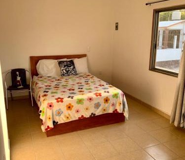 Tezoyuca House | Casa Mina Real