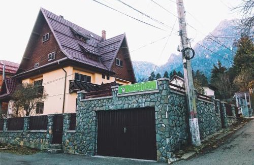Busteni House | Casa Mina
