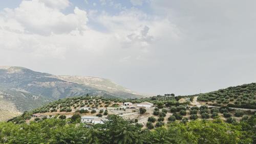 Montefrio House | Casa Mirada