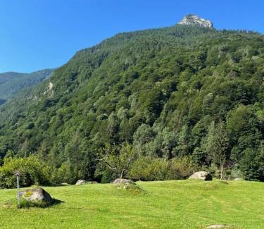 Brione House | casa MIRO'