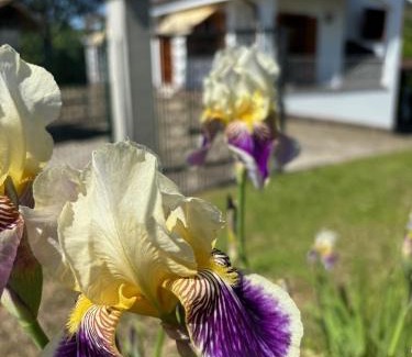 Castell'Alfero House | Casa Moncestino