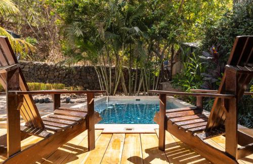 Matapalo House | Casa Mono del Río