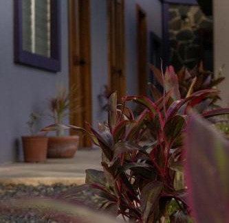 El Valle de Anton Hotel | Casa Morada