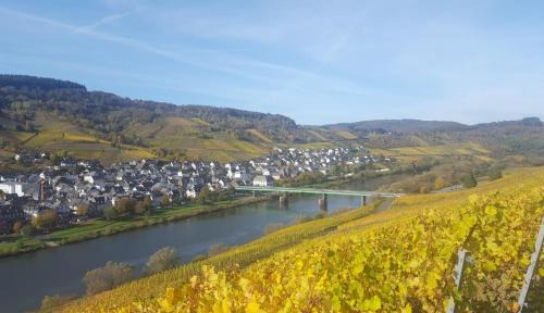 Reil Apartment | Casa Moselle-Royal Stilvoll Urlauben an der Mosel