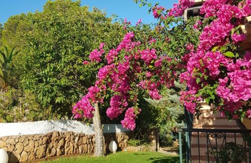 Sant Joan de Labritja House | Casa Naya Rural