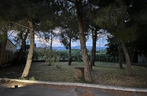 Riudoms House | Casa olivar de Riudoms