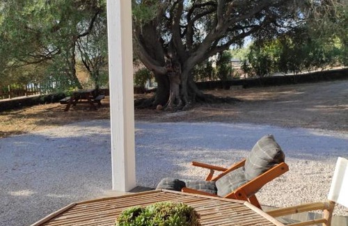 Cala Gonone House | Casa Olivastra