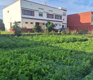 Ait Youssef Ou Ali Villa | Casa olivos villa 100m de la plage