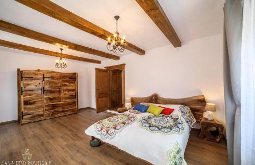 Sighisoara Apartment | Casa Otto Sighisoara
