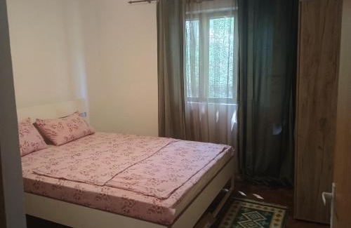 Gura Suhasului House | Casa Padurarului