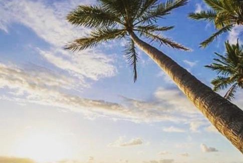 Mission Beach House | Casa Palma