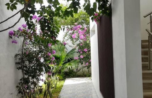 Honda House | Casa Panoramica -Silvarita