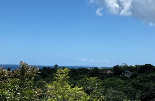 Bravos de Boston House | Casa Paradise Palms! Beautiful views from the rooftop. Walk to ferry/beach.