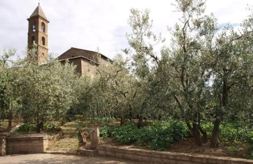 Sugano House | Casa Passero Orvieto