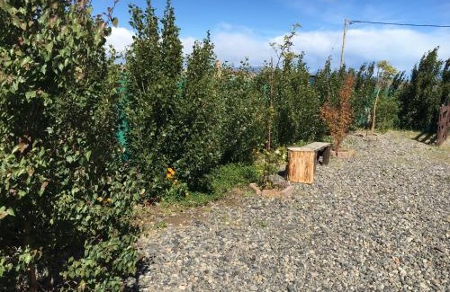 Macrozona Meseta Cerro Calafate House | Casa Patagónica Los Frutales