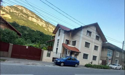 Baile Herculane House | Casa Peneșel
