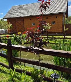 Breb House | Casa Pintea de Sub Coastă