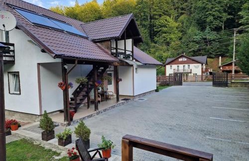 Cartisoara House | Casa Popa’s
