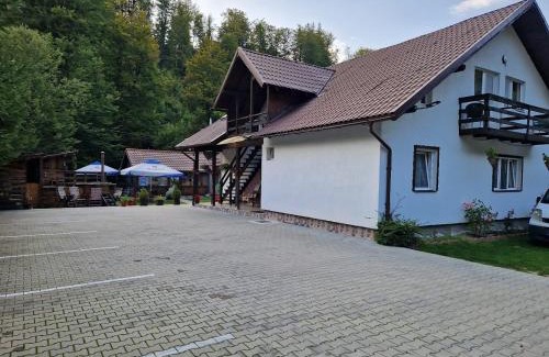 Cartisoara House | Casa Popa’s